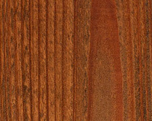 Fence Stain Contractor in Lincoln